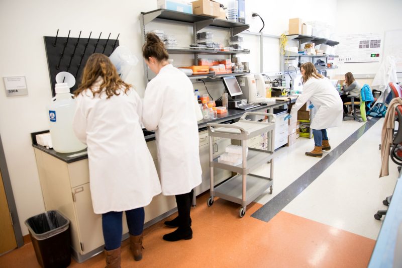 Lab Students Working